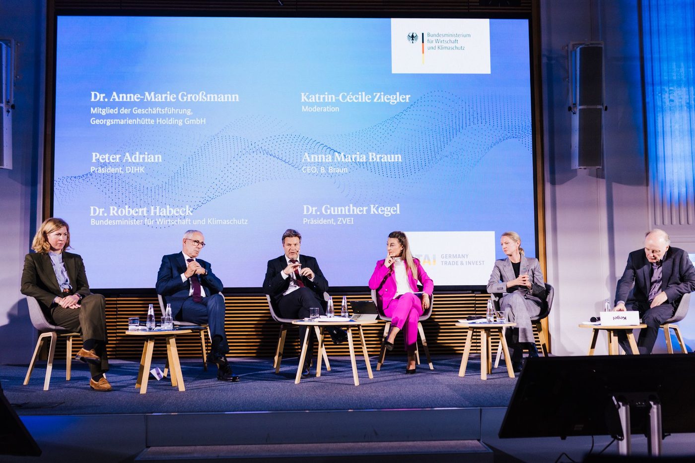 Katrin-Cécile Ziegler, Panel der Bundesregierung, u. a. mit Robert Habeck